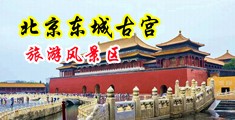 jk美女被草出血中国北京-东城古宫旅游风景区